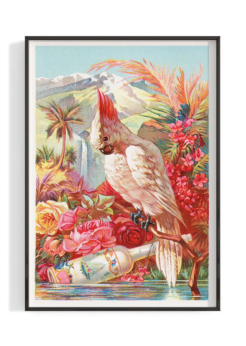 Bird in Paradise | Poster